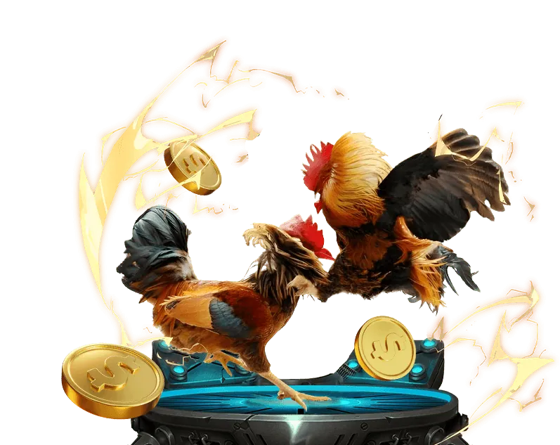 Hỗ trợ qua email